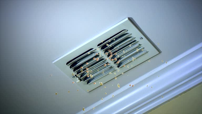 Best Ductwork Cleaning Services  in Brices Creek, NC