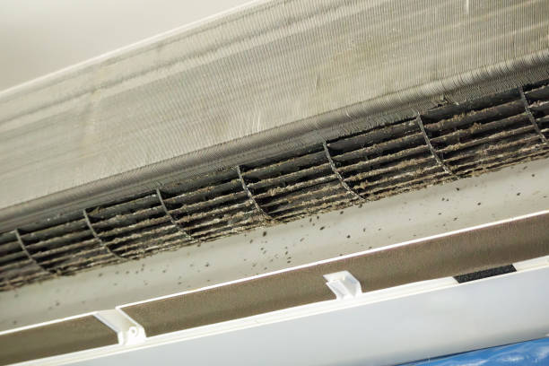 Best Duct Cleaning for Offices  in Brices Creek, NC